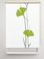 Preview: Rollo Ginkgo grey-green, Motivrollo, Rollo mit Druck, Fotorollo, bedrucktes Rollo, Fensterrollo,verdunkelndes Rollo, Sonnenschutz Rollo